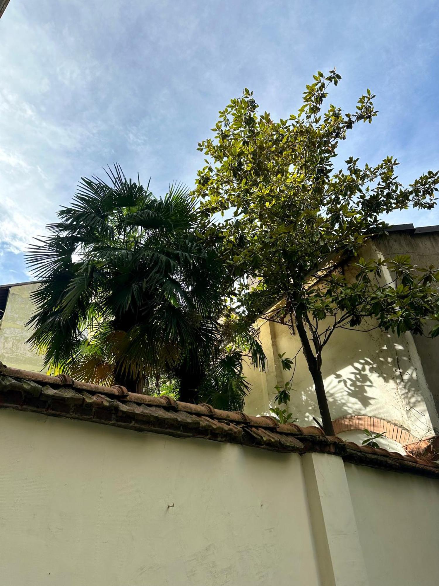Lr Deluxe Apartments - Porta Venezia - Bilocale Con Giardino Privato Milano Ngoại thất bức ảnh