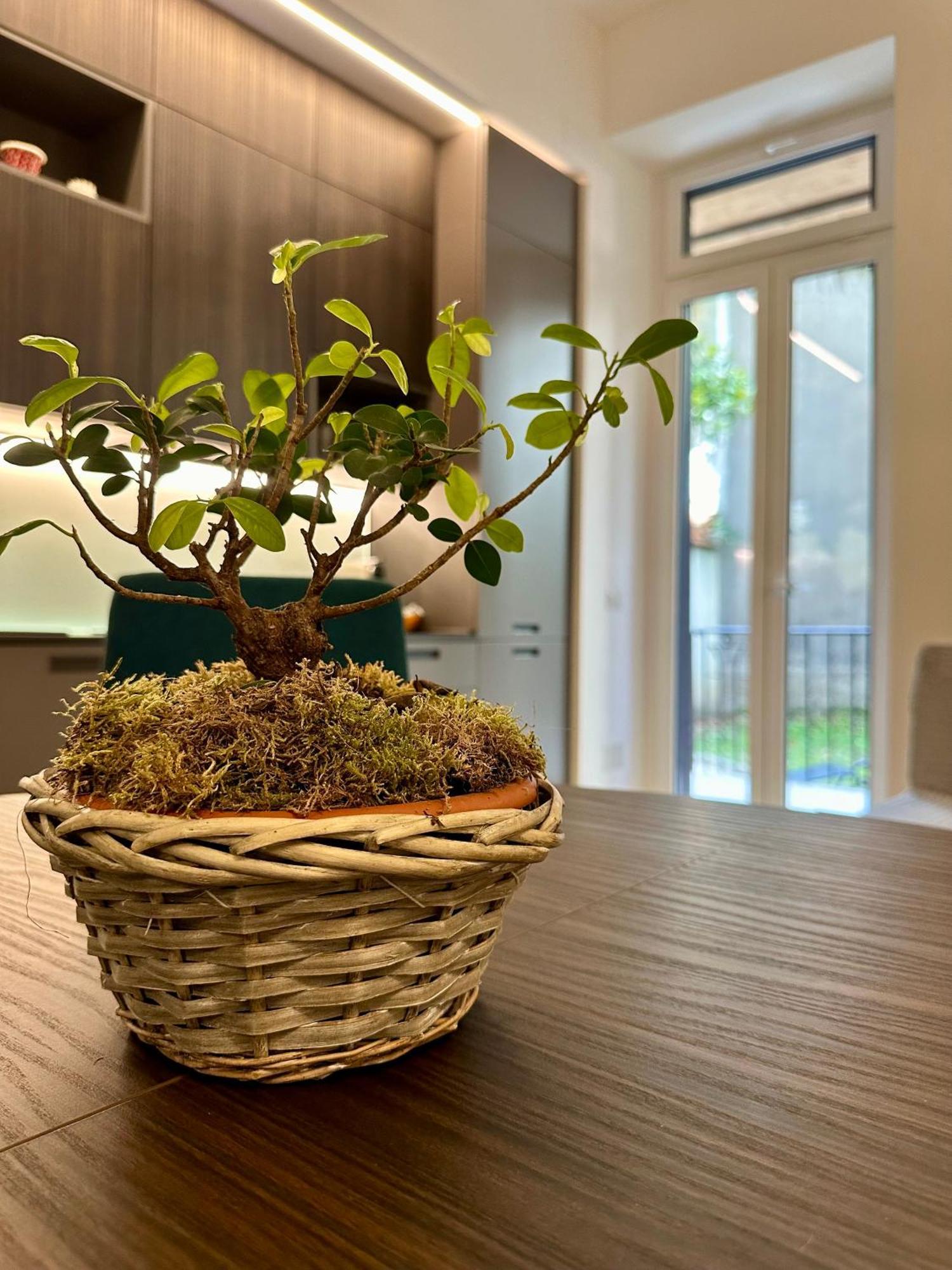 Lr Deluxe Apartments - Porta Venezia - Bilocale Con Giardino Privato Milano Ngoại thất bức ảnh